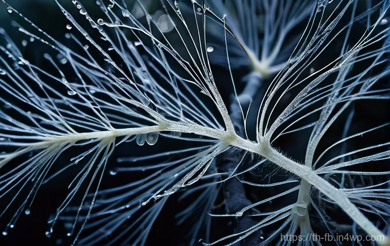 버섯 기반 섬유의 활용 가능성 - **Prompt:** A macro shot focusing on the intricate, delicate network of white mycelium fibers growin...